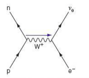 Feynman diagram for electron capture